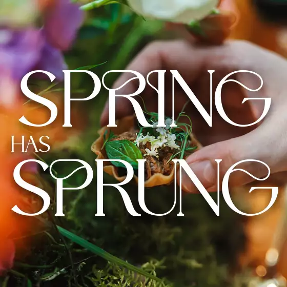 <p>Spring has Sprung</p>
