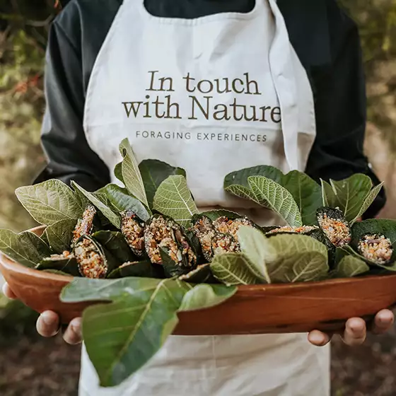 <p>In Touch with Nature - Foraging Experiences by Helena Costa</p>
